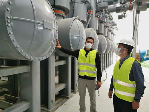 荒漠中有序推動埃及超高壓設備建設——埃克倫斯電氣的實踐與策略